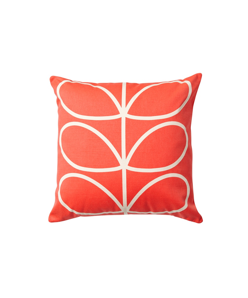 Coloful Pillow Beautiful