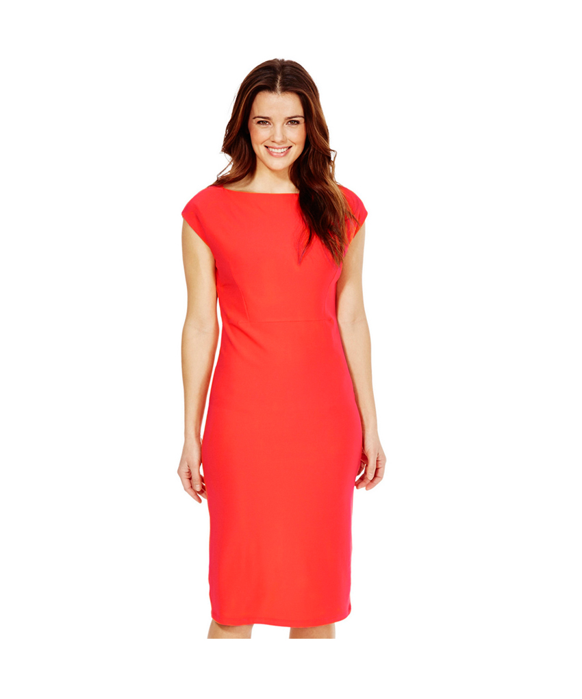 Sosandar Popper Denim Dress